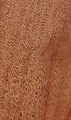 _AfricanMahogany_natural_lg.jpg