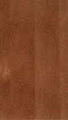 _Birch_Brownberry.jpg