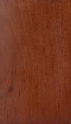 _PacificRedAlder_cayenne_lg.jpg
