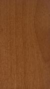_PacificRedAlder_nutmeg_lg.jpg