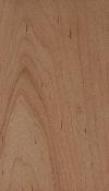 _WesternMaple_cinnamon_lg.jpg