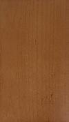 _WesternMaple_nutmeg_lg.jpg